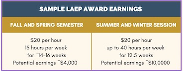 LAEP sample award earnings