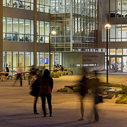 The outside of the SFSU library at night