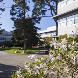 Campus garden