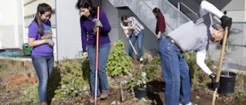 SFSU students doing community service yardwork