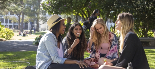 Spring Starter Hero Image